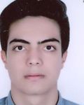 ضیاالدینی محمدعلی