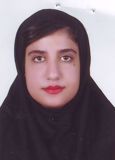 شاهرخی ساردو نسیبه