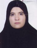 محمدی سلیمانی حسنی