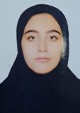 شهباز پور نگار