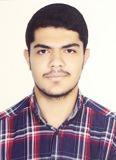 محمدامين گري نسب فيروزجاه