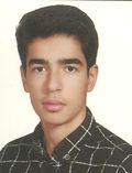 محمدامين حبيب زاده گرجان