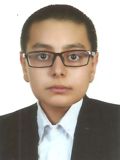 امين علائي قره گنگي