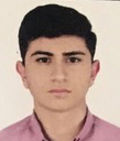 محمد ميرچناري