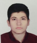 سيد حسن موسوي