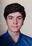 محمد سلمانی