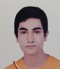 پارسا صادقیان