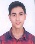 علیرضا میرشمسی