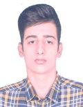 حسین ارزنده