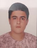 امیرسجاد یرلی