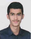 محمدمهدي محمودي