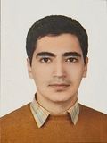 حامد فتحي