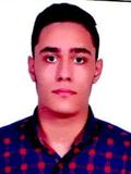 محمدامين فرهمند