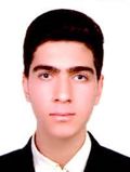 سيد محمد مهدي موسوي
