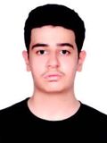 شايان کارکن