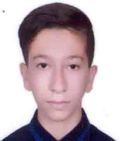 مهدي نباتعلي زاده قلعه جوقي