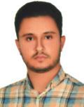 محمدجواد ميرزائي