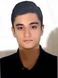 آرين اميري فر