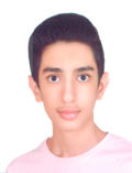 محمدحسین فرجیان