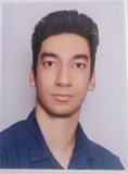 محمد محمودی