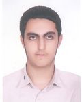 امير مهدي محمودي