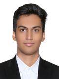 امیرمحمد حسنی