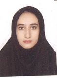 سليمي نيکو