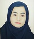 برهان زهي طيبه