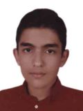 محمدي اميررضا
