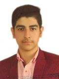 حامدي امير علي
