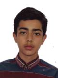 دامغاني محمد مهدي