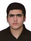 مستخدمين امير منصور