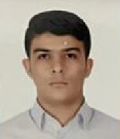 مقصودلونژاد محمد