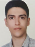 ويسي آريان