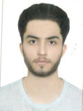 زندي آرين