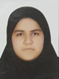 ابراهيميان پريسا