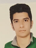 رضايي نويد