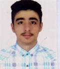 پارسا کفش دوزی بوکانی