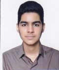 آرين نکوکاري
