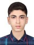 امير حسين ايرواني