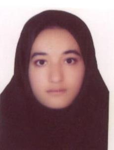 فولادى سارى قيه
