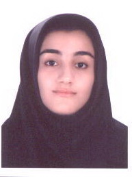 عادلى