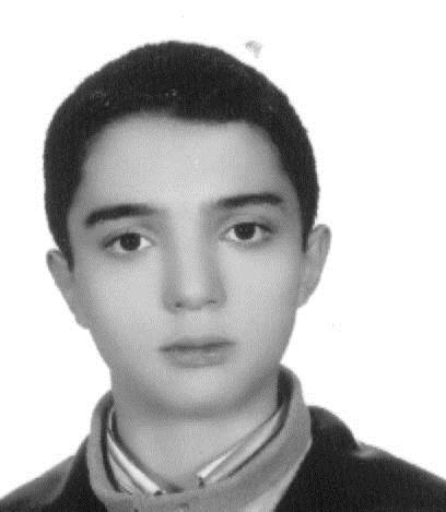 سلطانى راد شاهين