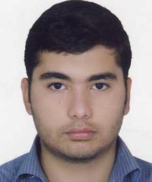 مرادى مجتبى