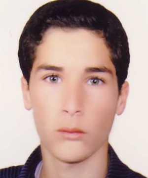 سلطانى سياوش