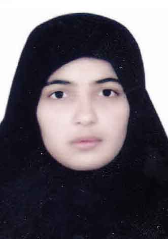 بابامير ساطحى