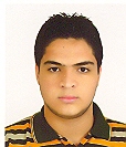 محمدقلي زاده كهنموئي امير