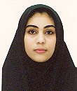 راه نوااسفنگره