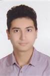 ولى محمدى