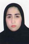 حمدى قلعه جوقى